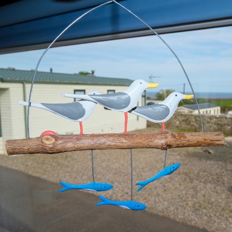 דירות Saint Cyrus Kittiwake מראה חיצוני תמונה
